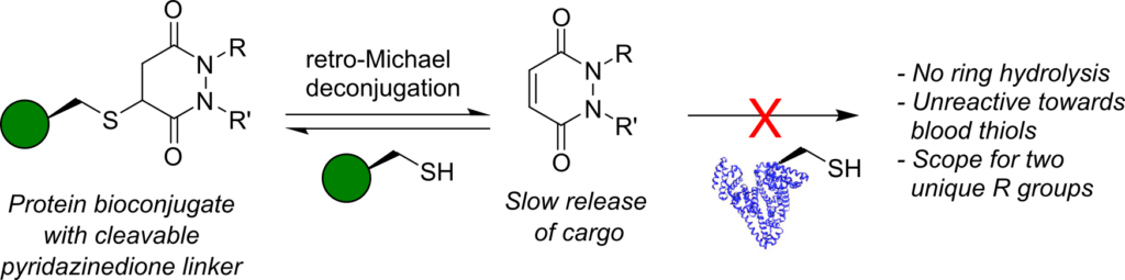 The Chudasama Research Group Using Organic Chemistry To Solve 